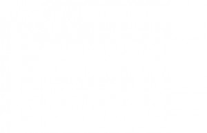 blank-300x193